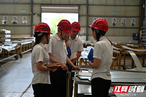 岳陽 黨建引領聚合力 迸發(fā)組織新動力