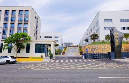 剛柔相濟鑄偉業(yè) 訪湖南順新金屬制品科技董事長張順新