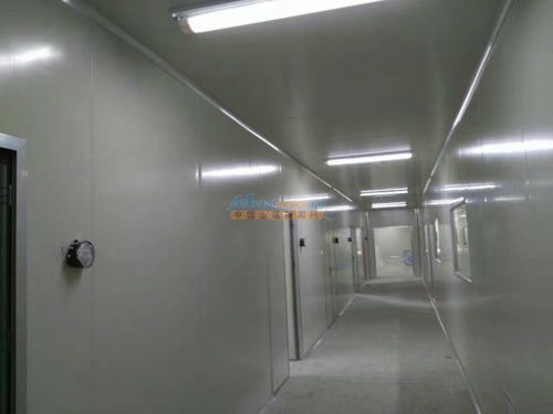 陜西食品廠車間凈化工程裝修 河南豫凈環?？萍嫉慕鉀Q方案